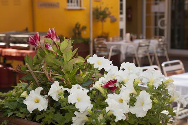 Bistro Chiara - Terrace with flowers
