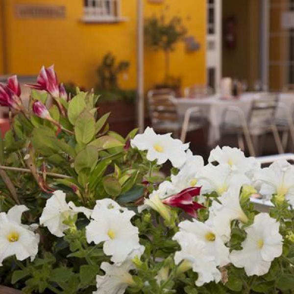 Terrace Restaurant ChiaraMar with flowers